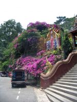 Doi Suthepilla, eli vuorella lähellä Chiang Maita